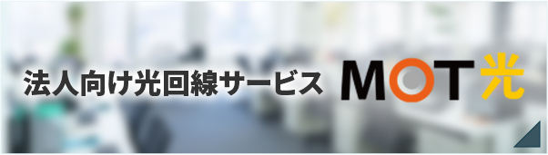 法人向け光回線サービス　MOT光