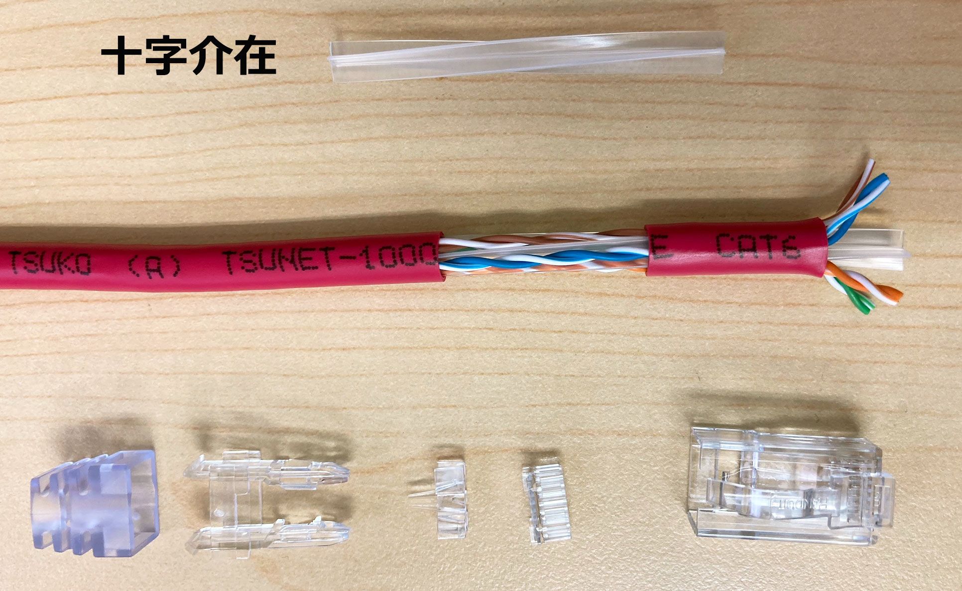 Cat6 内部の十字介在とRJ-45 パーツ（PANDUIT 社製）